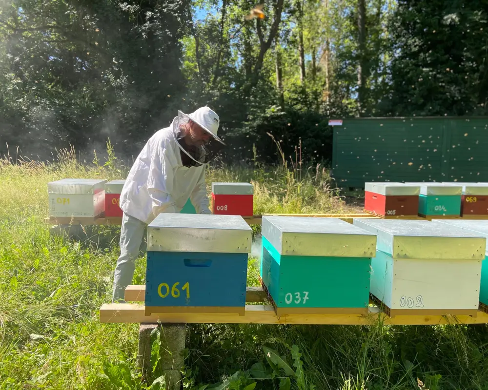 apiculture oise